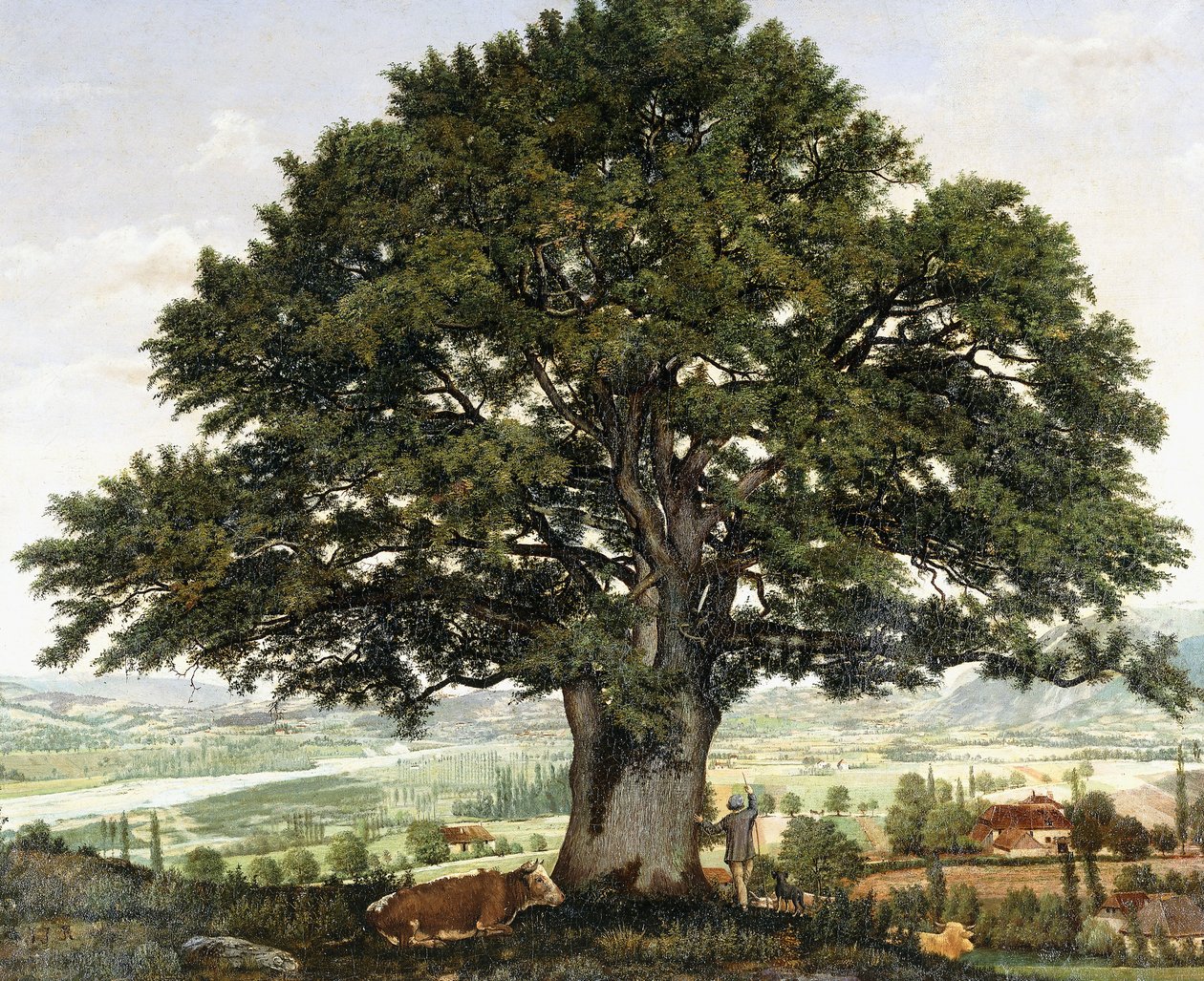 O Plaine d "Annecy-Chene le Veteran des Alpes, de Jean Jacques Rousseau