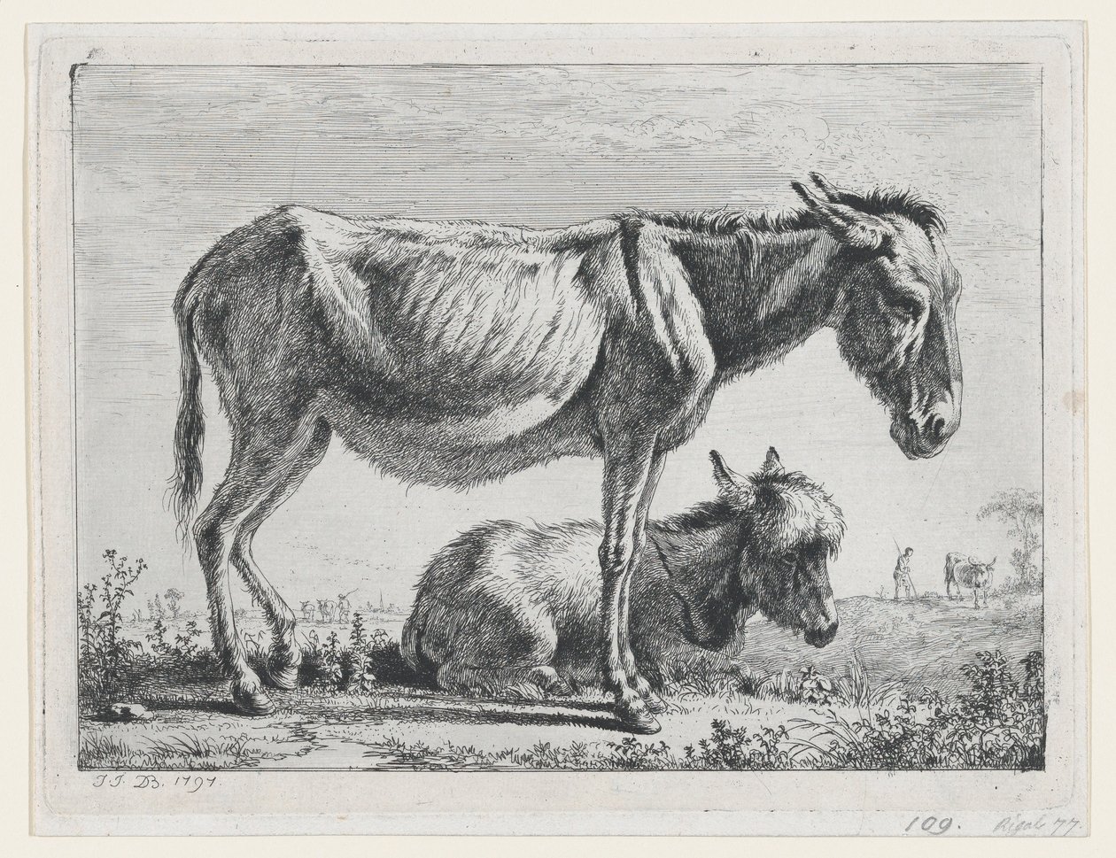 Jenny com seu potro, 1797. de Jean Jacques de Boissieu