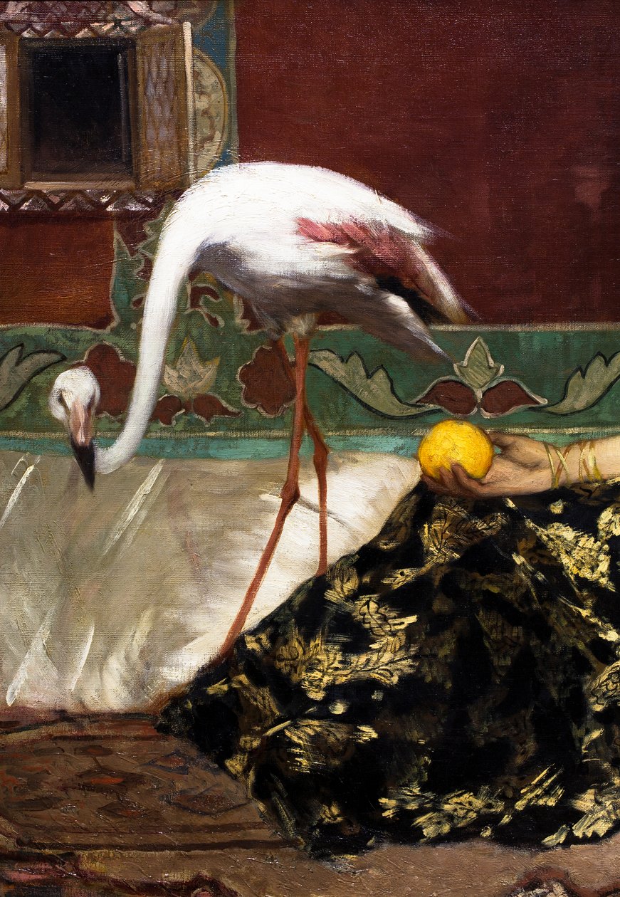 O Flamingo cor-de-rosa (pormenor) de Jean Joseph Benjamin Constant