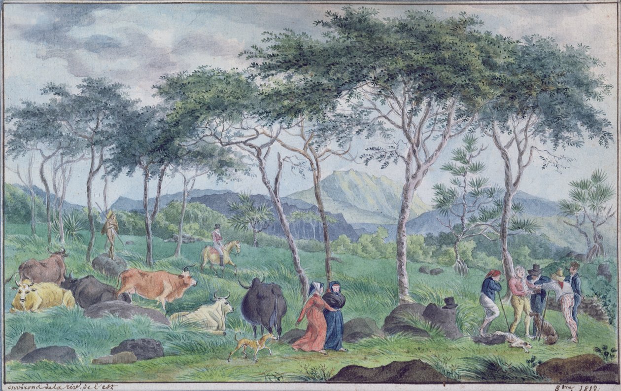 Rebanho de gado vacum perto do rio a leste da Ile de la Reunion, em outubro de 1812 de Jean Joseph Patu de Rosemont