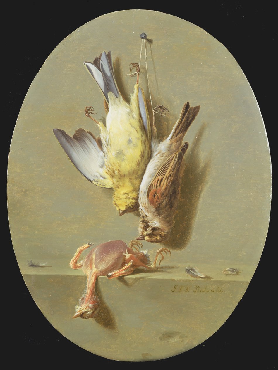 Um, trompe, a, olho, de, morto, songbirds de Jean Joseph Xavier Bidauld