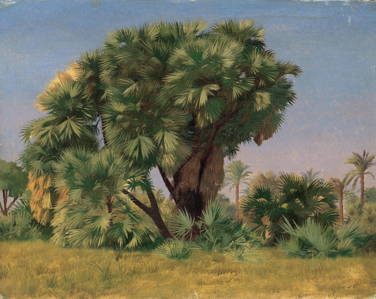 Estudo das Palmeiras de Jean Leon Gerome