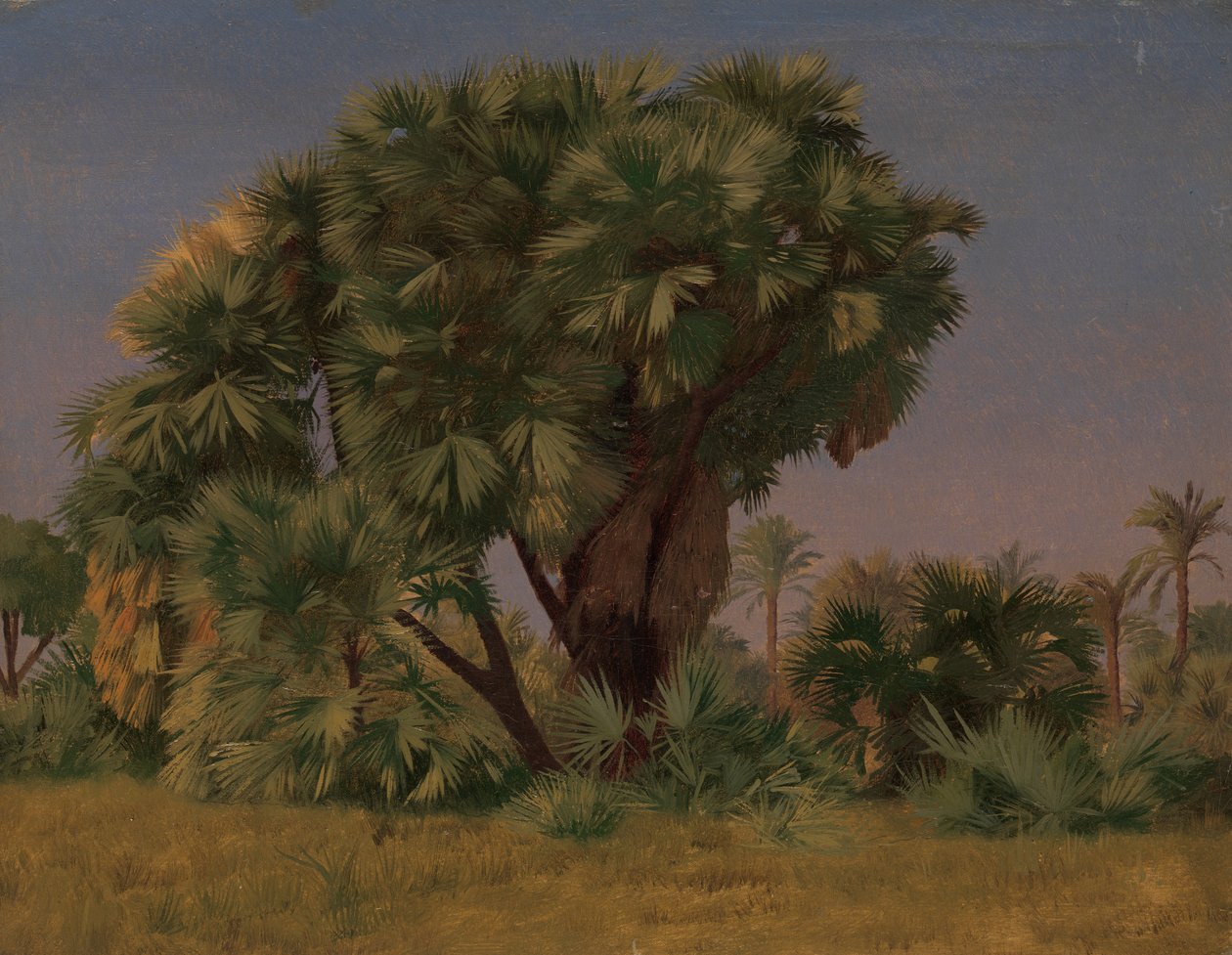 Estudo das palmeiras, provavelmente 1868. de Jean Leon Gerome
