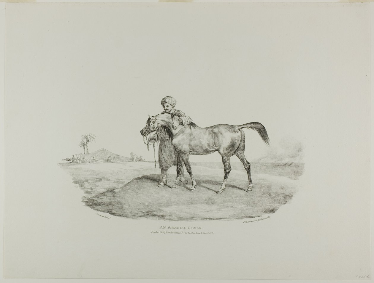 Um Cavalo Árabe, placa 8 de Vários Objectos Desenhados da Vida e em Pedra (A Suite Inglesa) de Jean Louis André Théodore Géricault