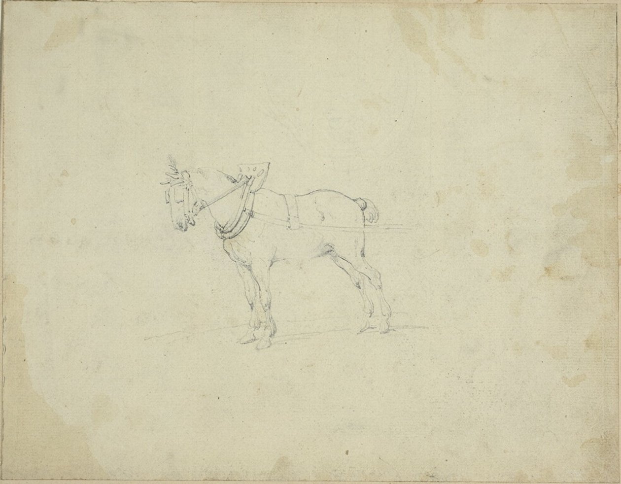 Cavalo de tração de Jean Louis André Théodore Géricault