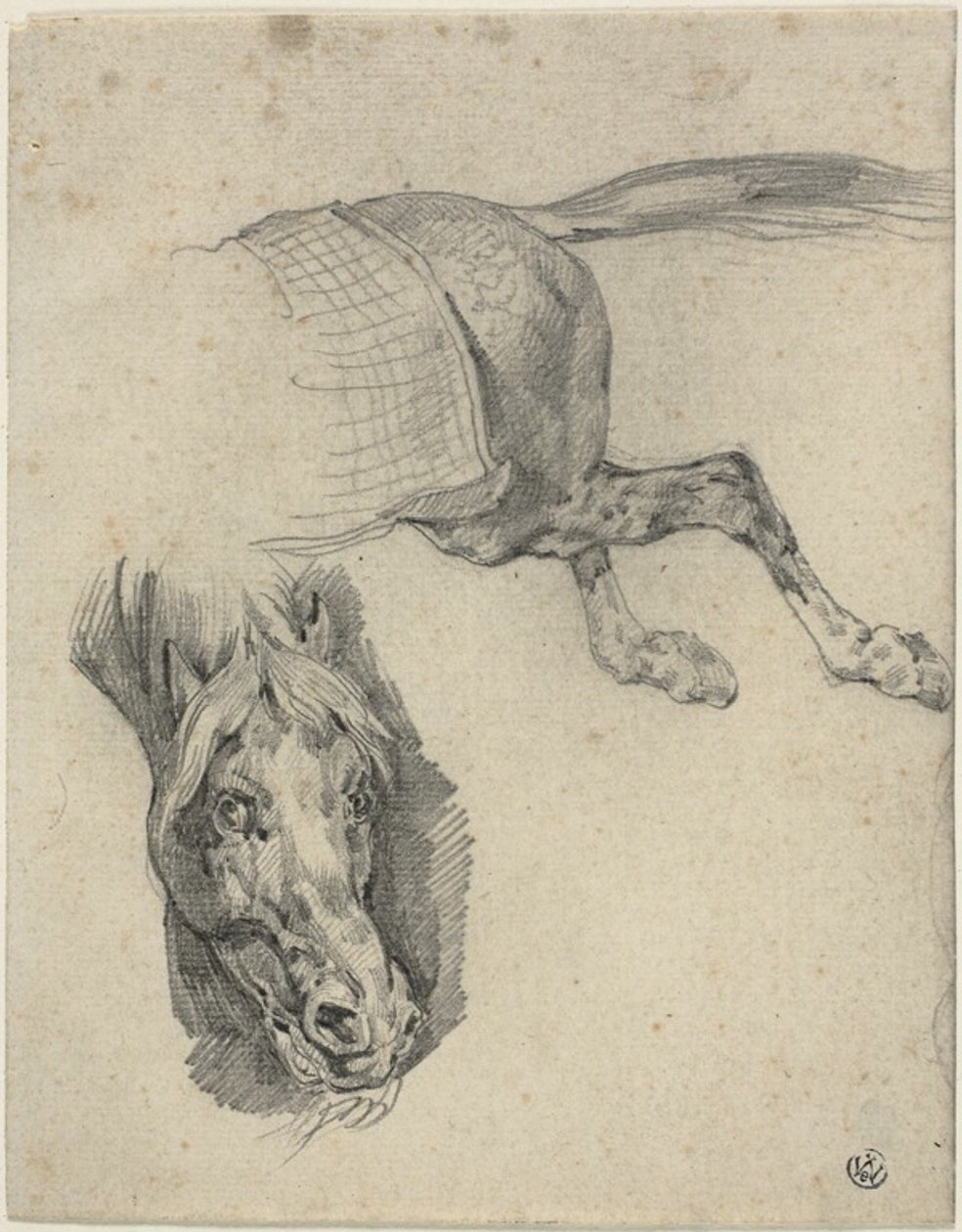 Cabeça e quartos traseiros de um cavalo de corrida de Jean Louis André Théodore Géricault