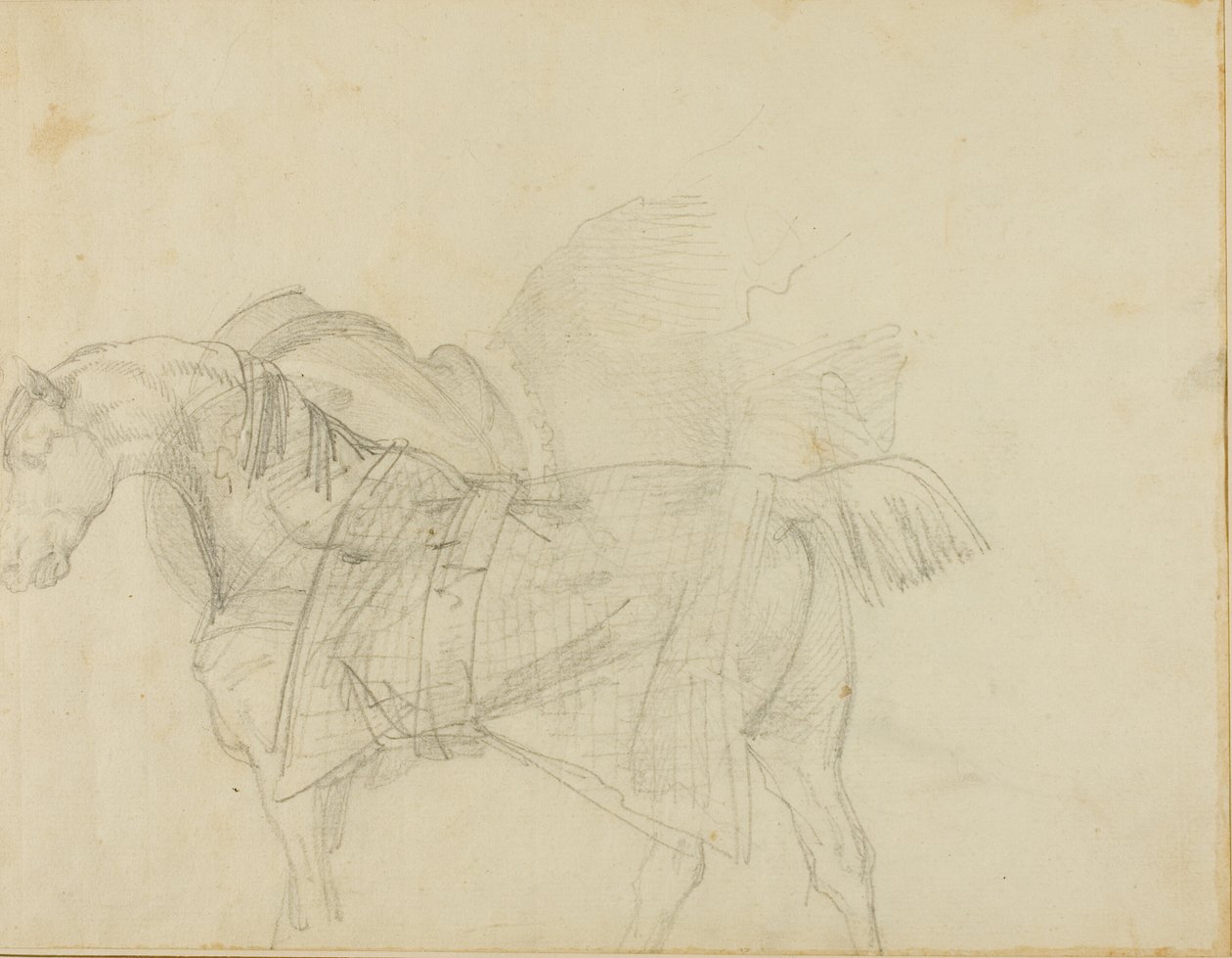Cavalo a usar um cobertor de Jean Louis André Théodore Géricault