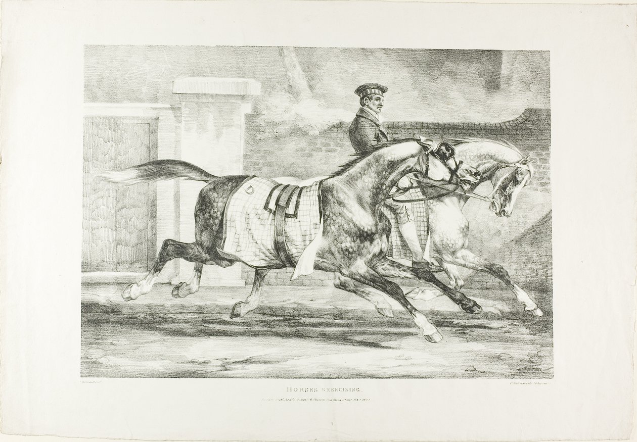 Cavalos em exercício, placa 6 de Vários temas desenhados a partir da vida na pedra de Jean Louis André Théodore Géricault