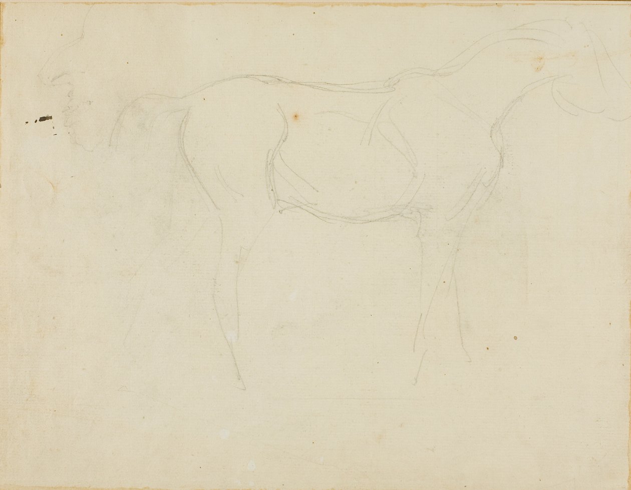 Esboço de um cavalo virado para a direita e uma caricatura de perfil de Jean Louis André Théodore Géricault