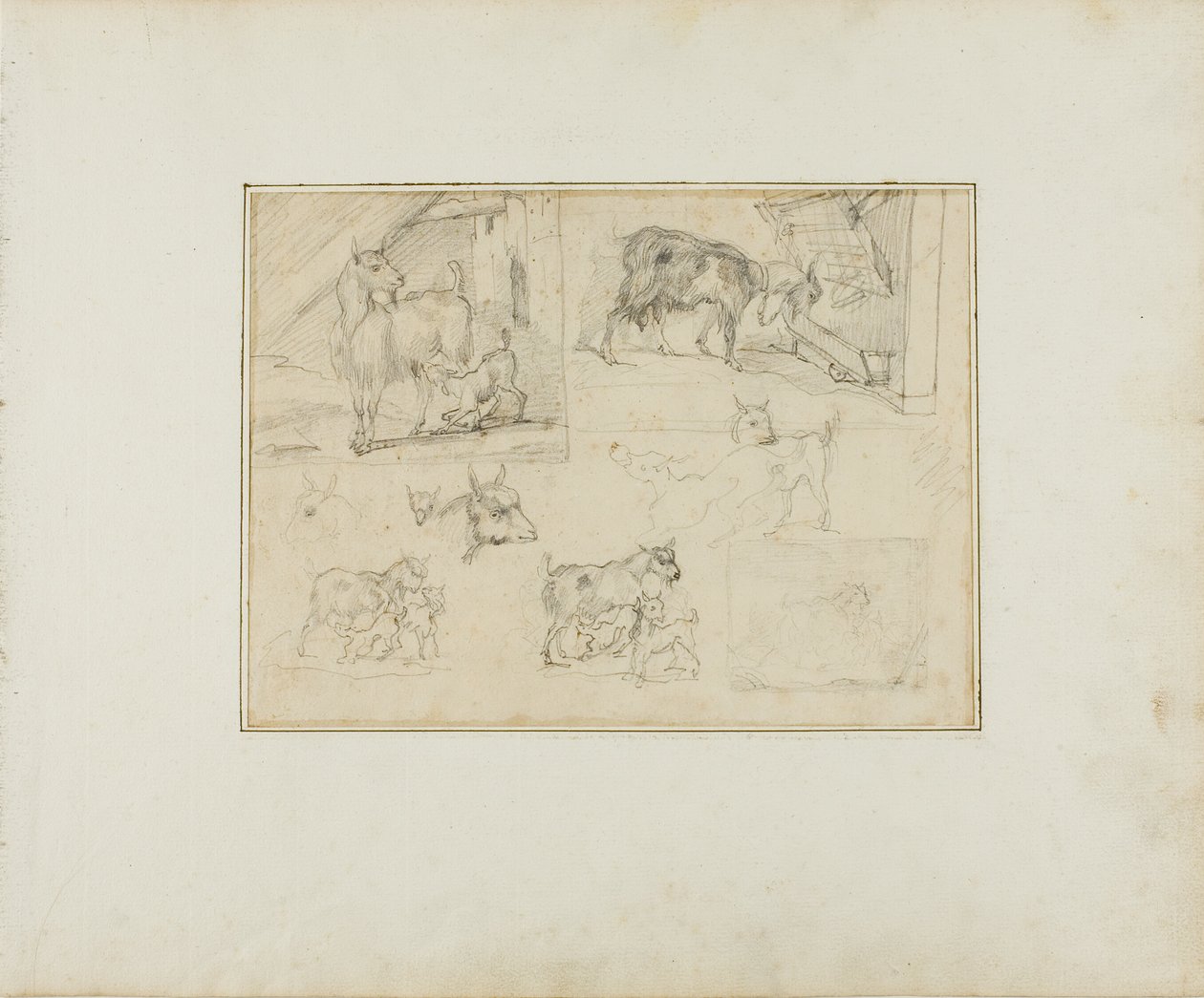Esboços de cabras de Jean Louis André Théodore Géricault