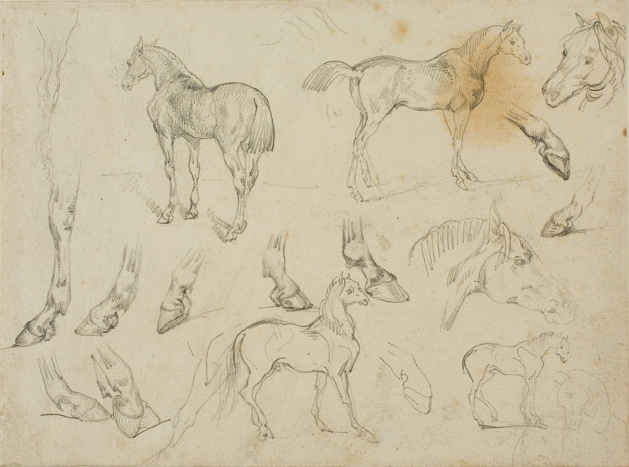 Esboços de um cavalo de Jean Louis André Théodore Géricault