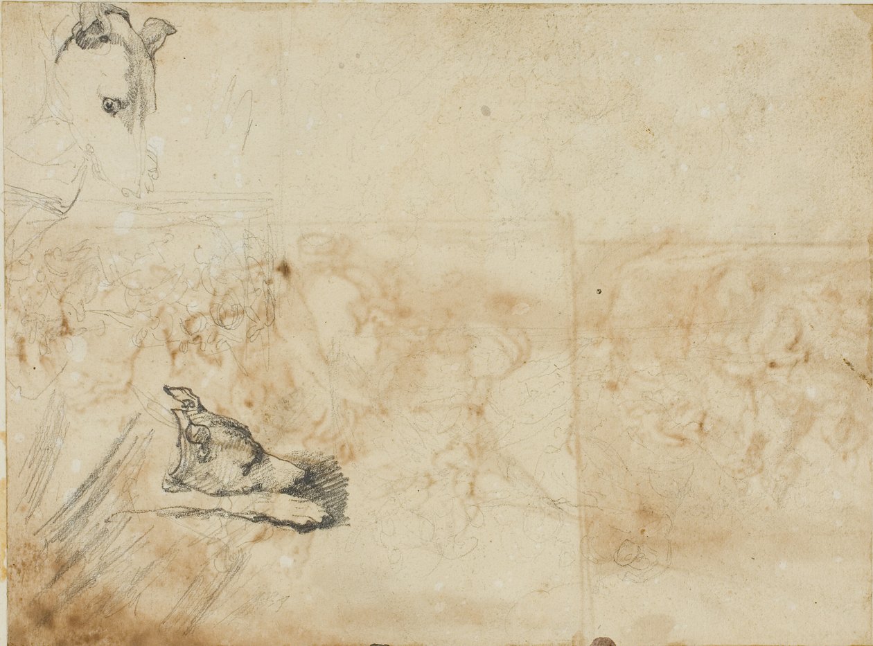 Esboços de uma batalha equestre e a cabeça de um galgo de Jean Louis André Théodore Géricault