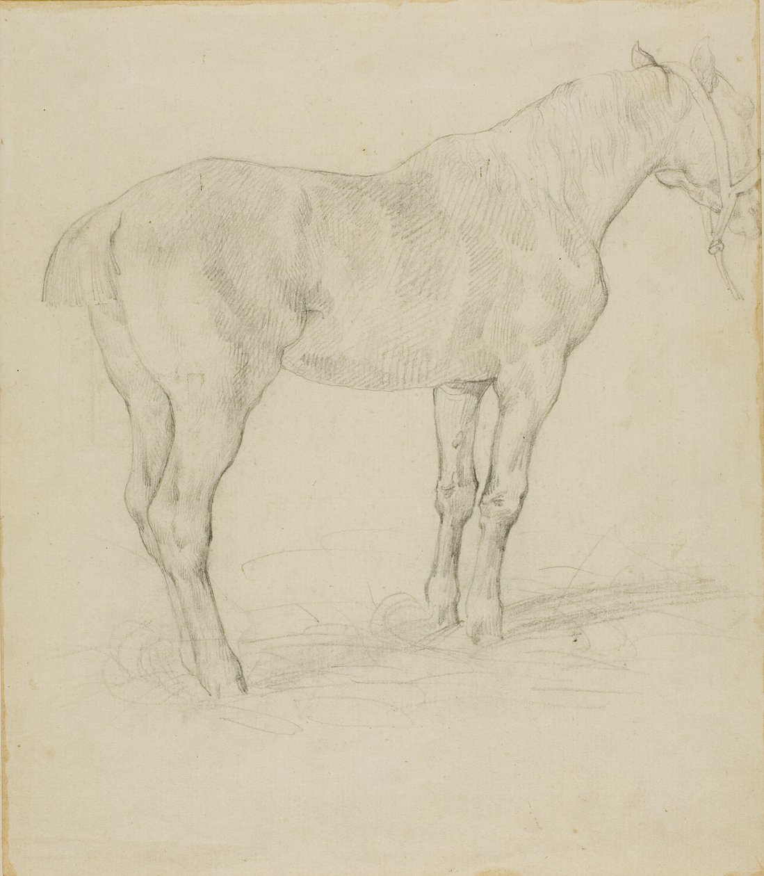 Cavalo de pé de Jean Louis André Théodore Géricault