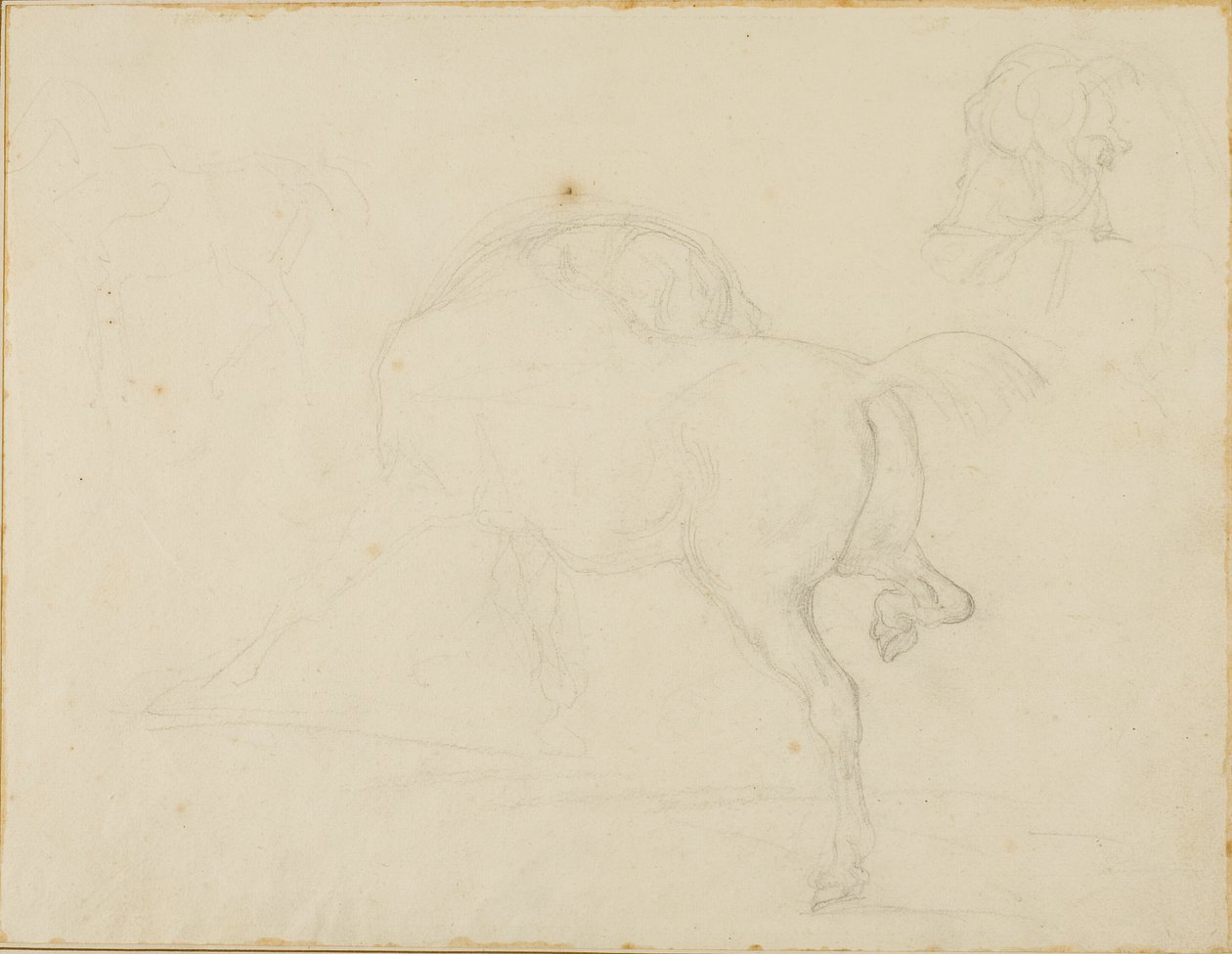 Estudo de um cavalo a virar a cabeça e a levantar a pata traseira de Jean Louis André Théodore Géricault