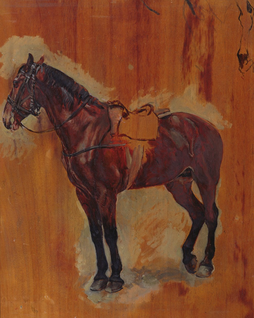 Estudo de um cavalo de Jean Louis Ernest Meissonier