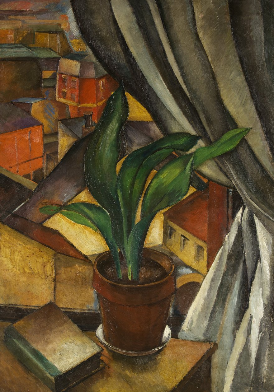 O Aspidistra, c.1912 (óleo sobre tela) de Jean Marchand