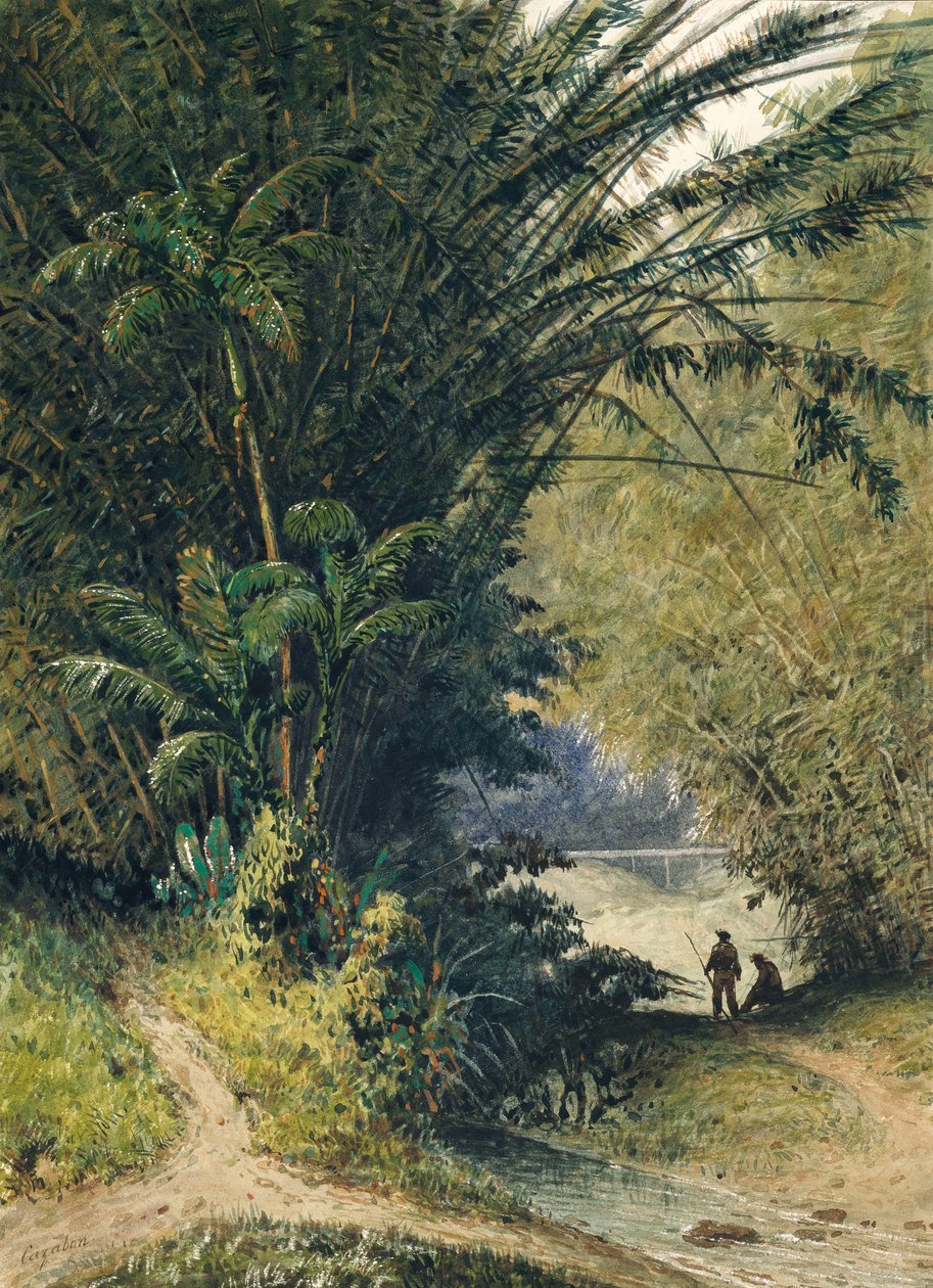 Um bosque de bambu em Trinidad de Jean Michel Cazabon
