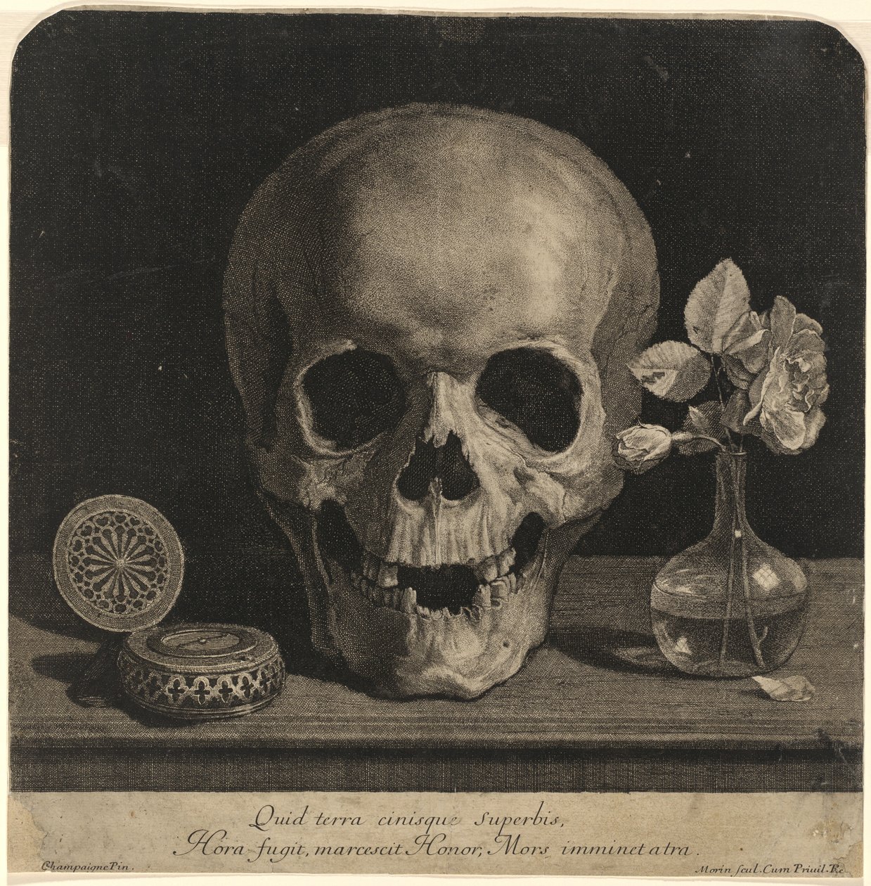 Natureza morta com uma caveira e um vaso de rosas de Jean Morin, after Philippe de Champaigne