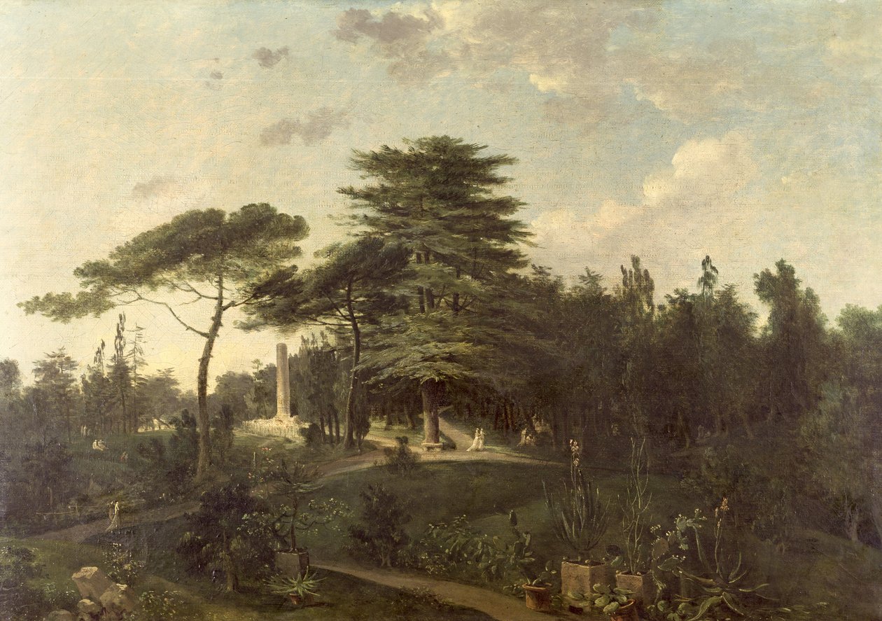 O cedro do Líbano no Jardin des Plantes de Jean Pierre Houel