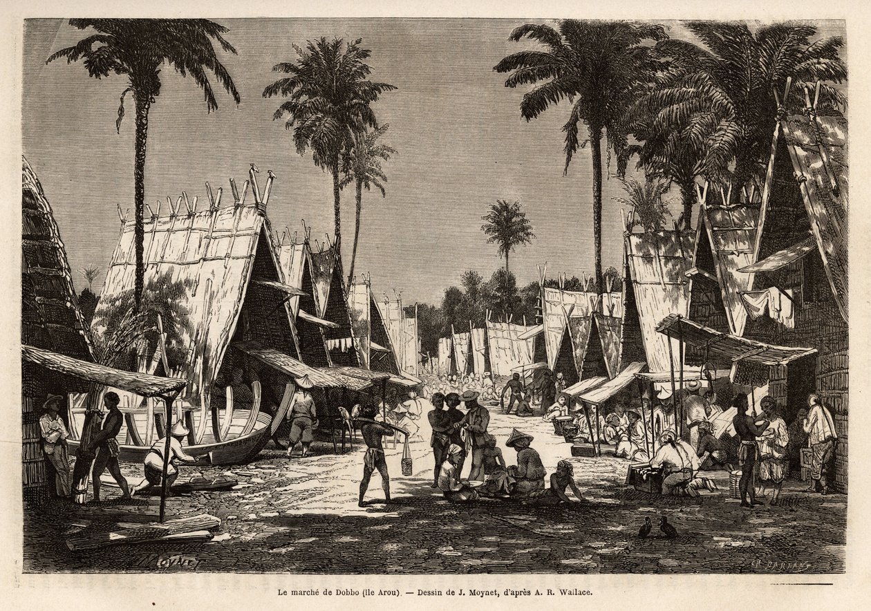 A marcha de Dobbo, na ilha de Arou, um centro portuário, animada por muitos comerciantes e construtores navais, gravada após o desenho de J.Moynet, ilustrando a viagem ao arquipélago da Malásia em 1854-1862, de Alfred Russell Wallace (1823-1913), um britân de Jean Pierre Moynet