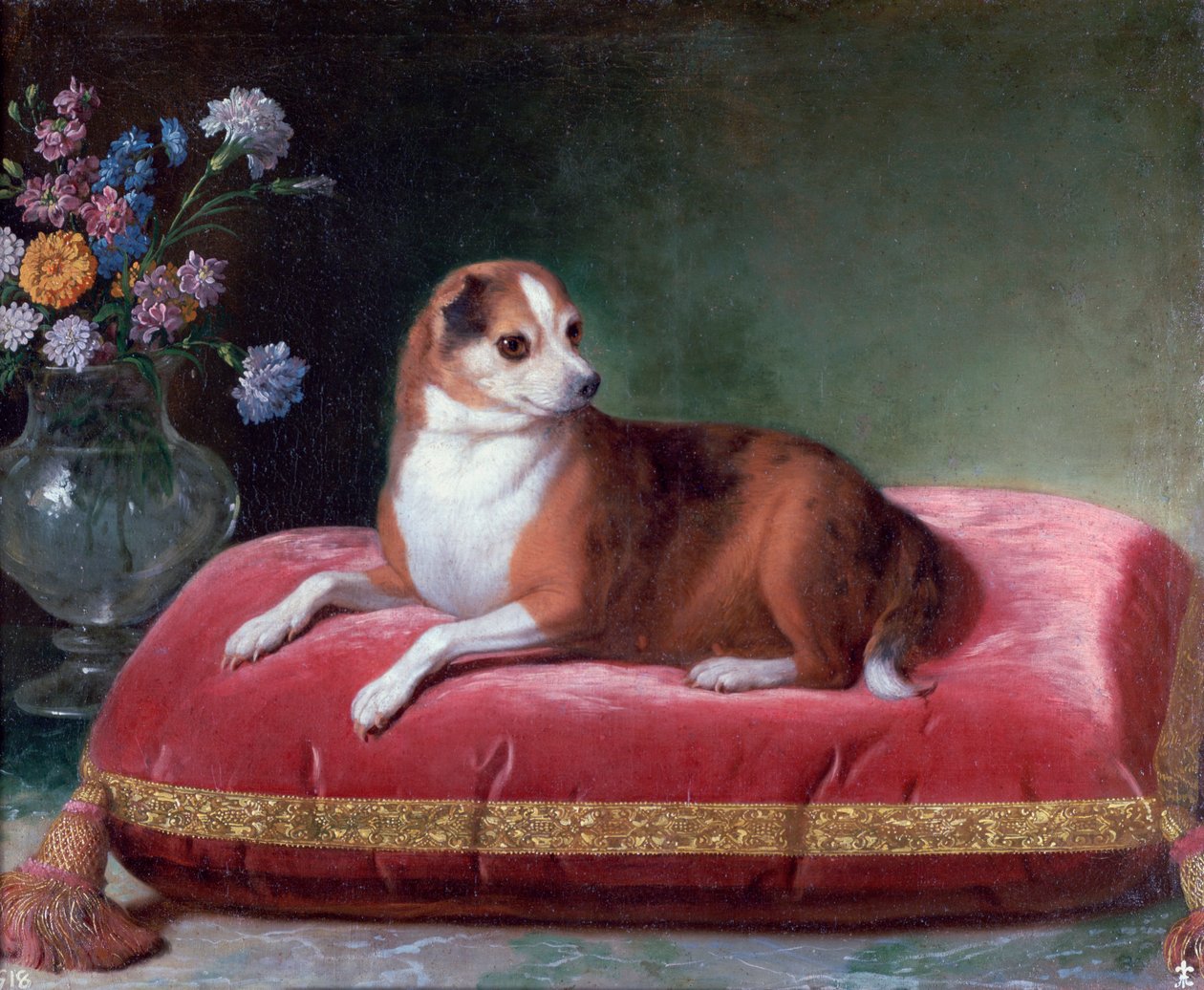 A cadela em uma almofada, c1694-1735 de Jean Ranc