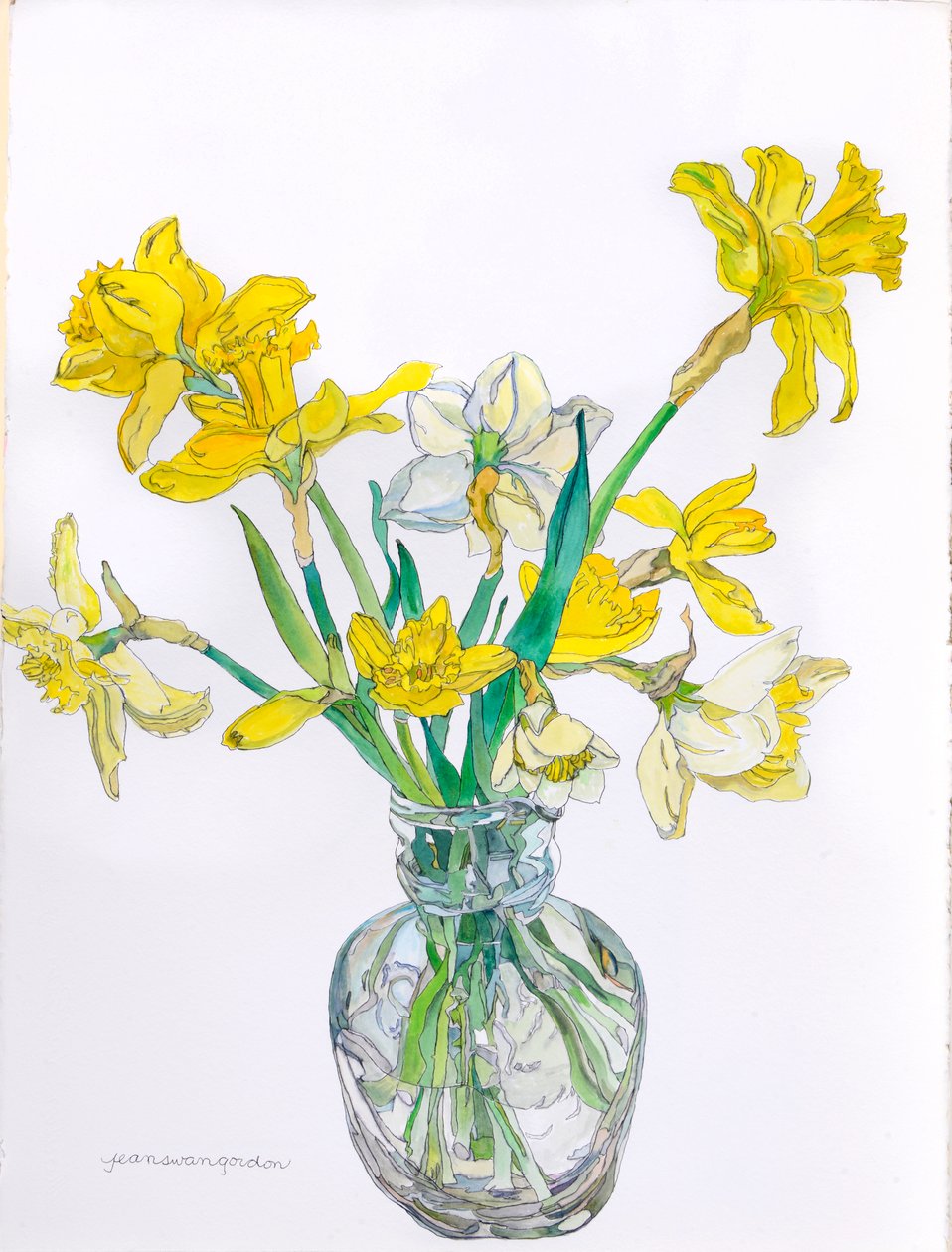 Narcisos num vaso de gargalo estreito, 2006 (aguarela e tinta sobre papel) de Jean Swan Gordon