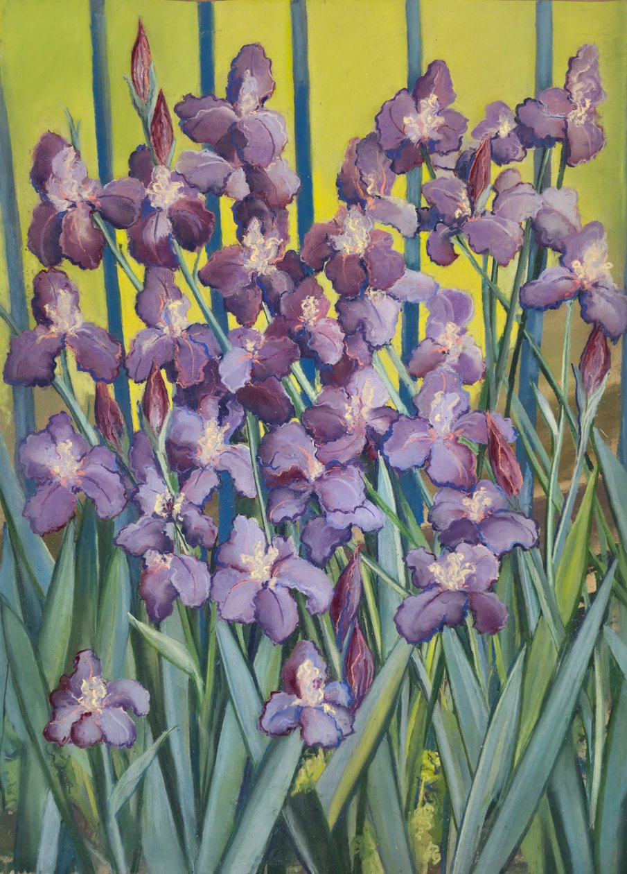 Purple Irises, 2023 (pastel sobre papel) de Jeanne Maze