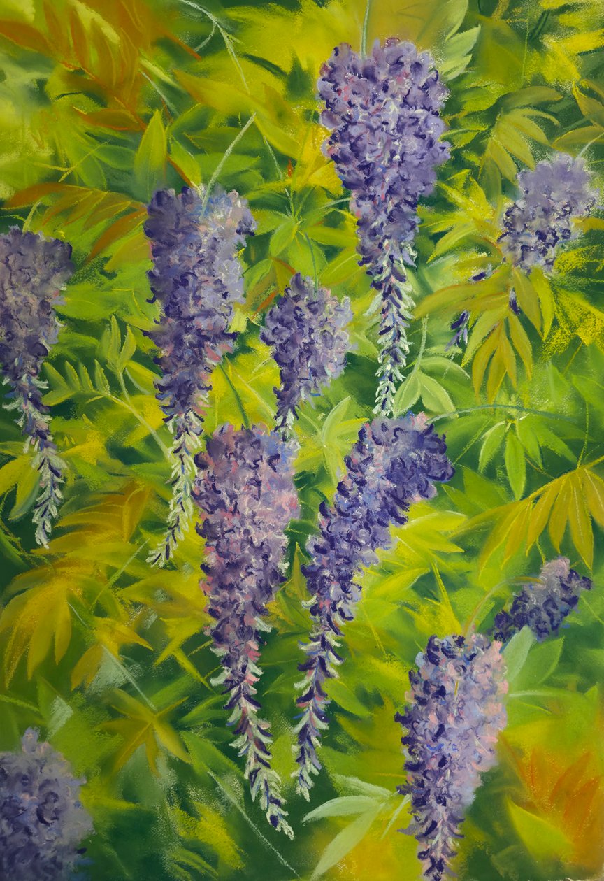 Flores e folhagem de glicínias 2, 2023 (pastel sobre papel) de Jeanne Maze