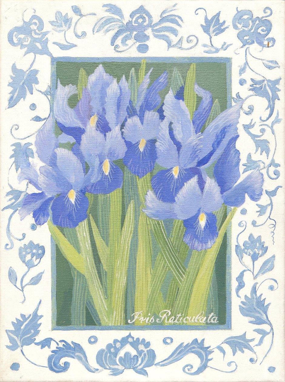 Íris azul (acrílico) de Jennifer Abbott