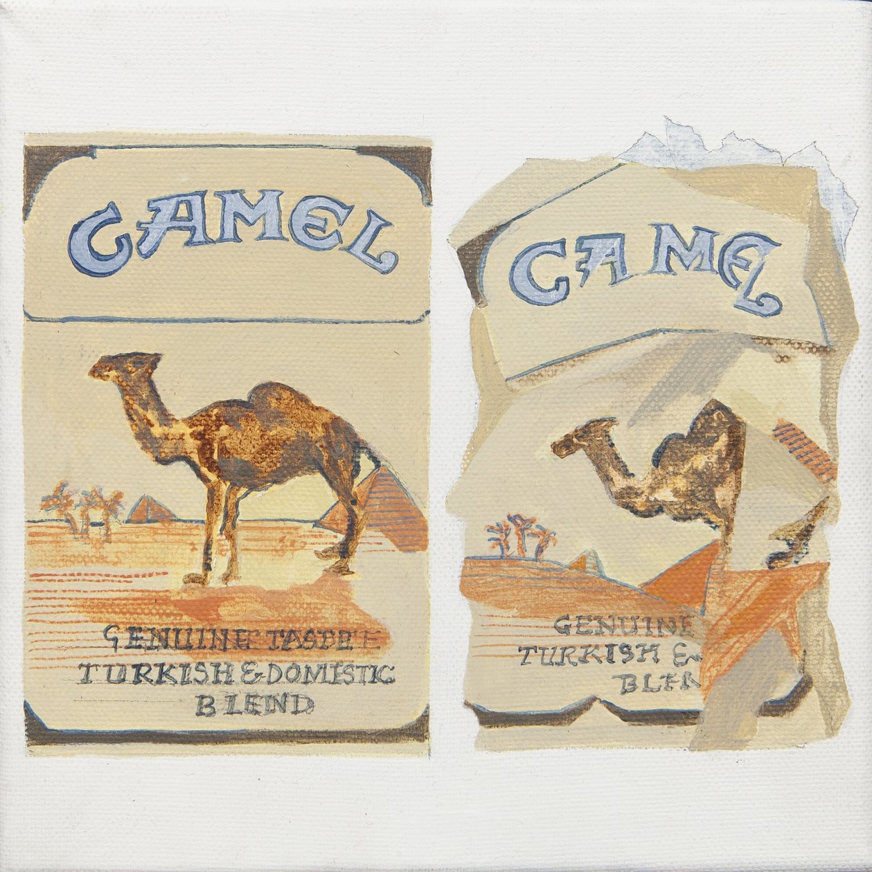 Maços de cigarros Camel de Jennifer Abbott