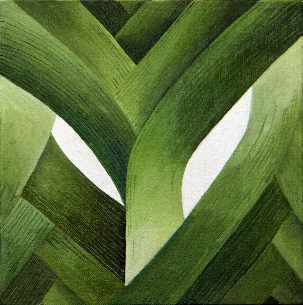 Alho-porro, 2013 (acrílico sobre tela) de Jennifer Abbott