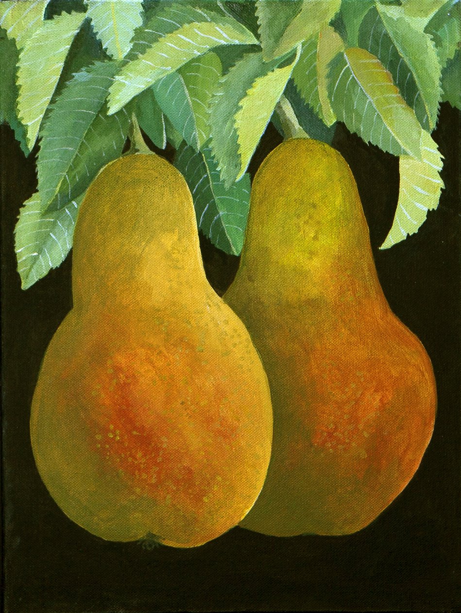 Peras, 2014 (acrílico sobre tela) de Jennifer Abbott