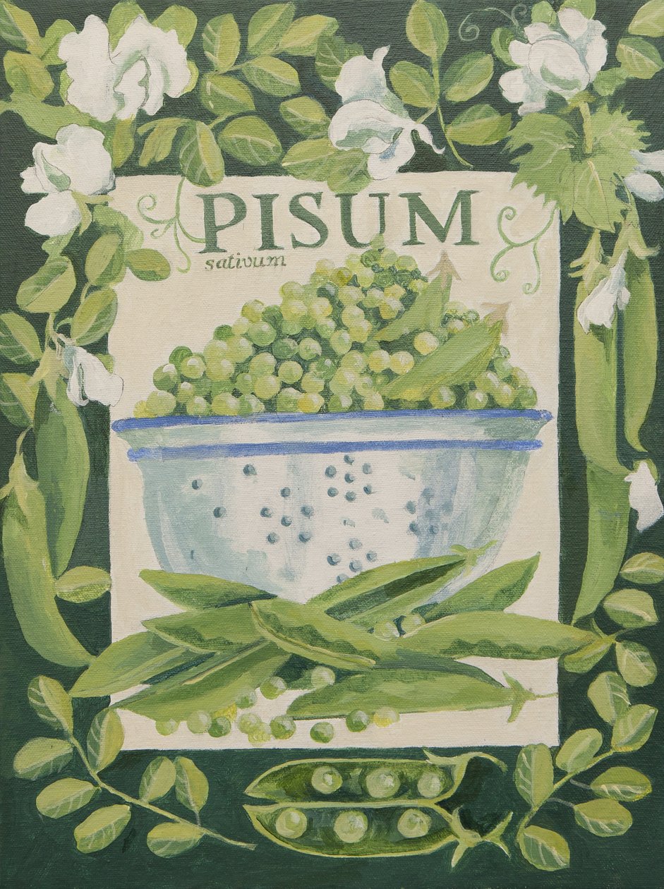 Pisum, Ervilhas (acrílico) de Jennifer Abbott