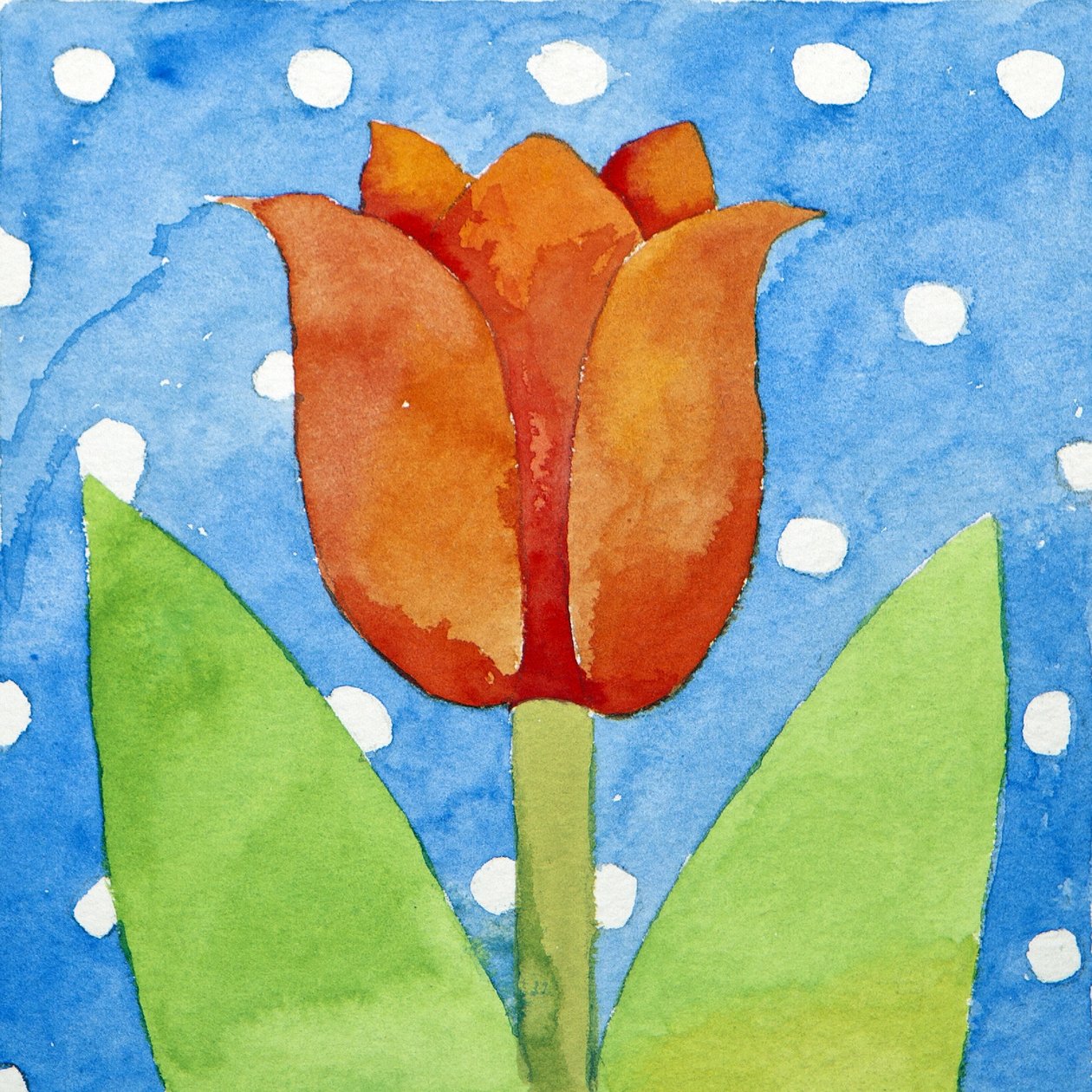 Tulipa de fundo azul com manchas brancas, 2013 (aguarela) de Jennifer Abbott