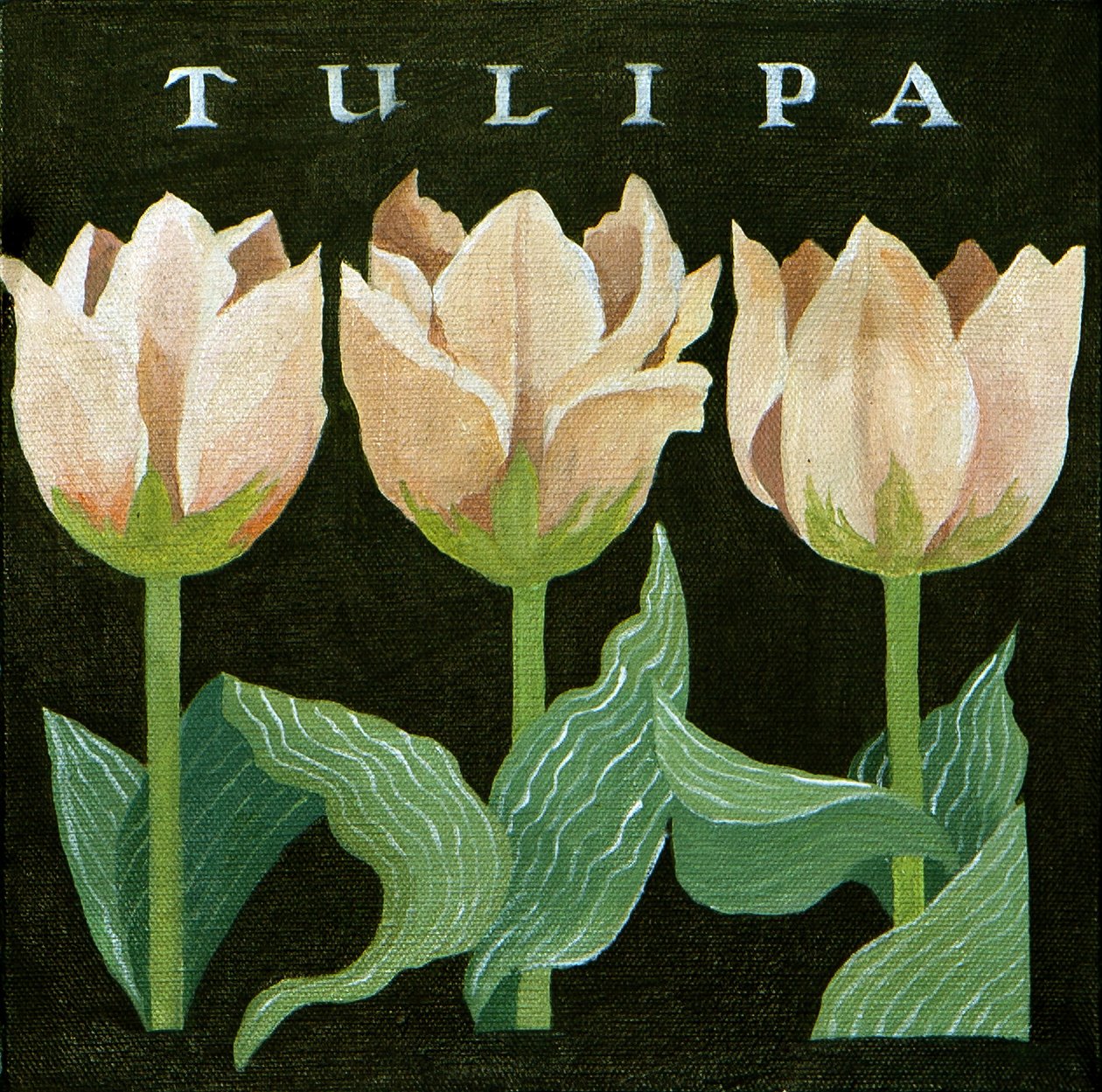 Tulipas, 2013 (acrílico sobre tela) de Jennifer Abbott
