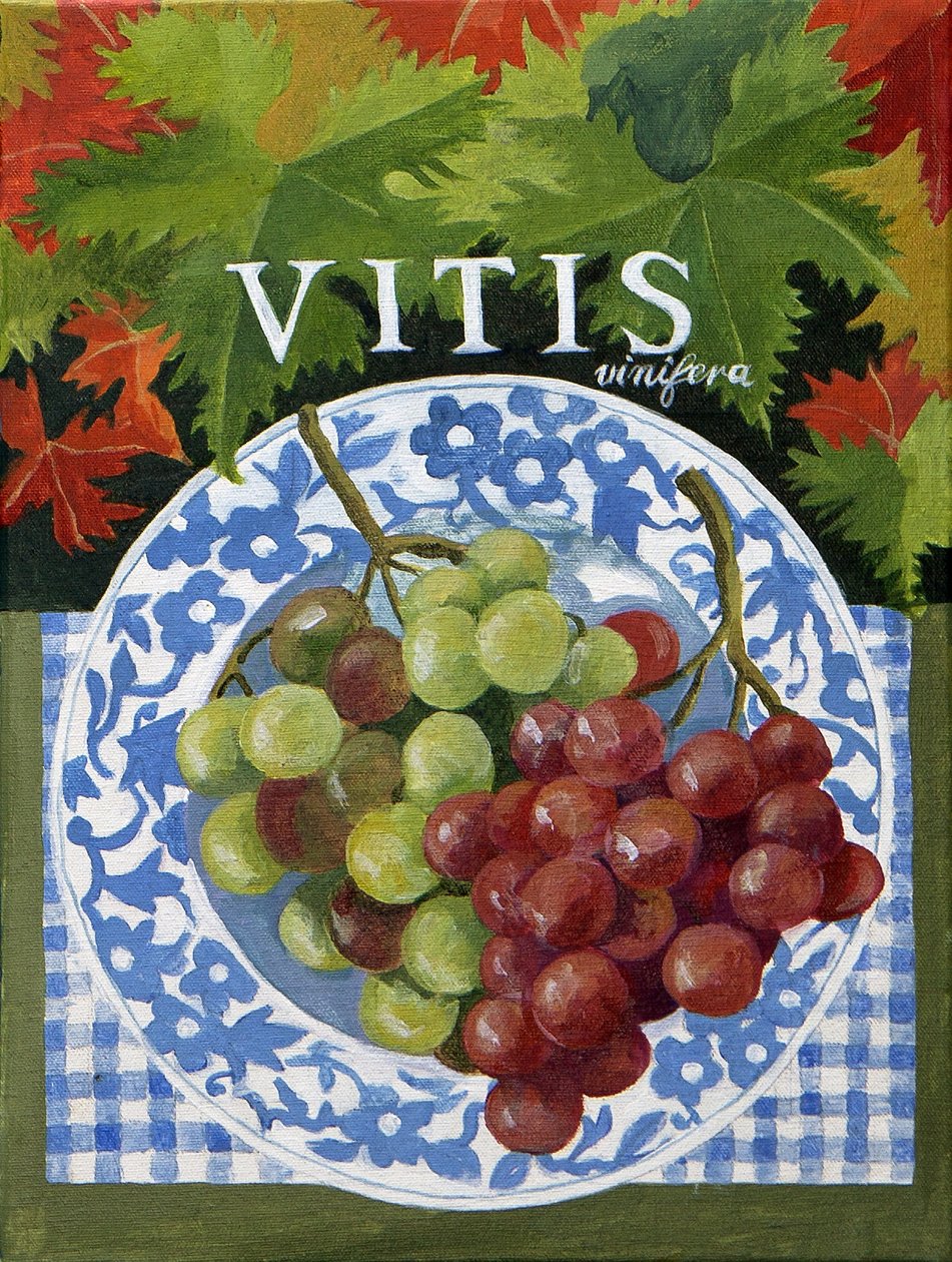 Vitus (uvas), 2014 (acrílico sobre tela) de Jennifer Abbott
