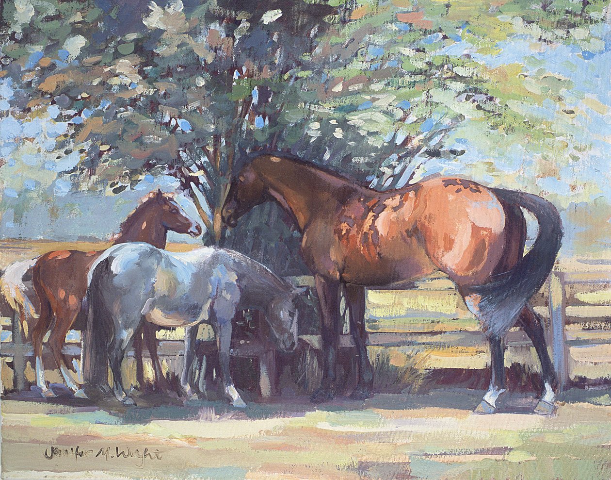 Cavalos - O verão voa, 1990 de Jennifer Wright