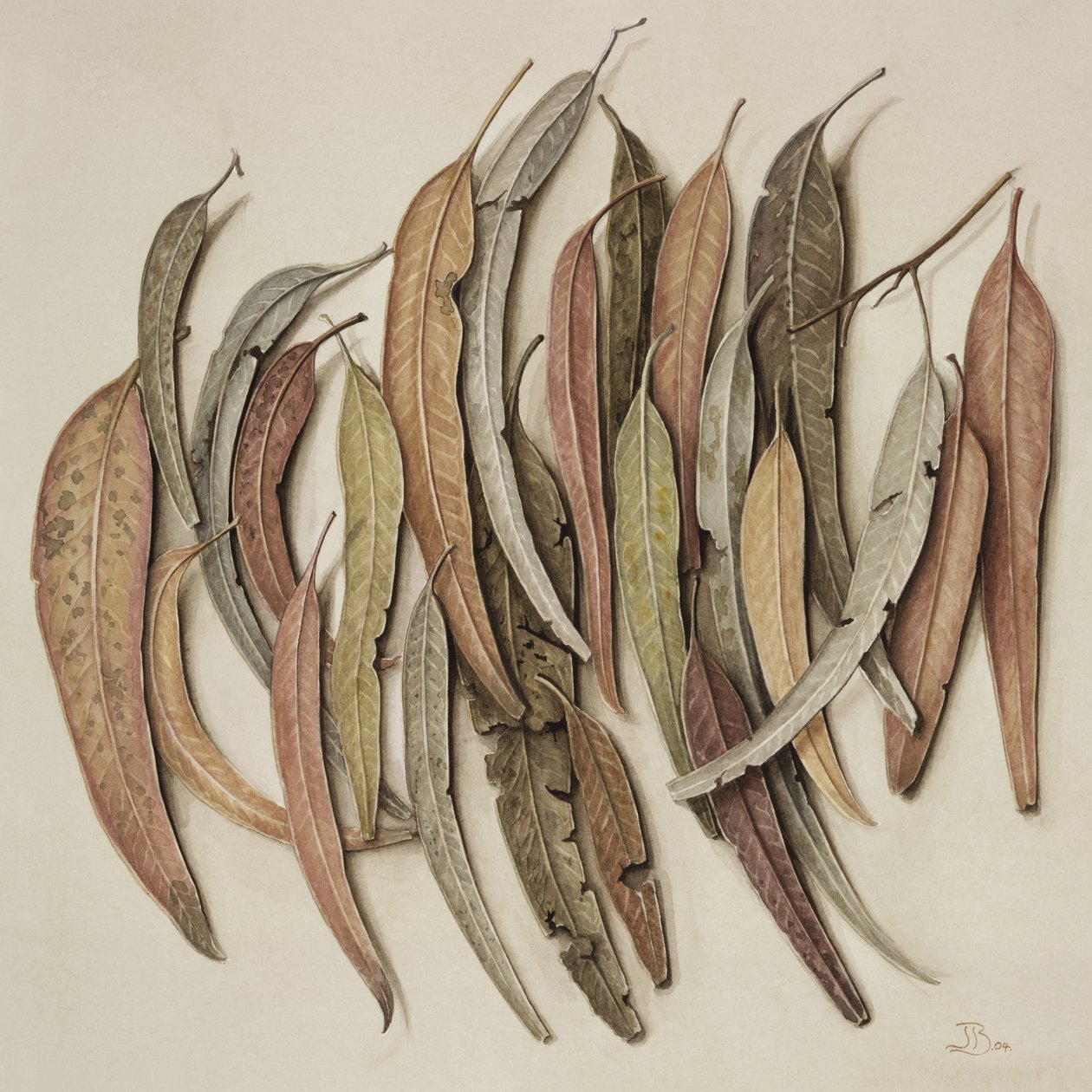 Folhas de Eucalipto, 2004 (wc no papel) de Jenny Barron