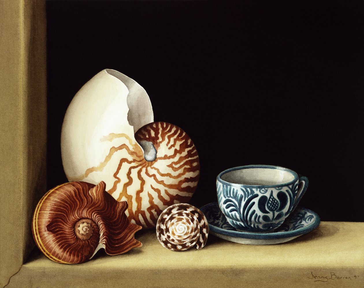 Natureza morta com Nautilus, 1998 (wc no papel) de Jenny Barron