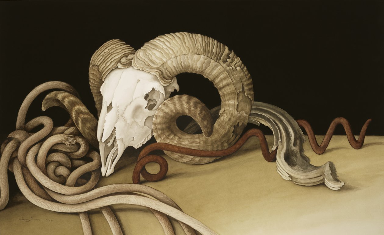 Vanitas, 2004 (wc no papel) de Jenny Barron