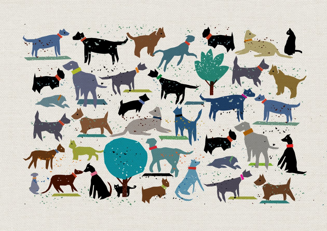 Amor de cão, 2024 (técnica mista) de Jenny Frean