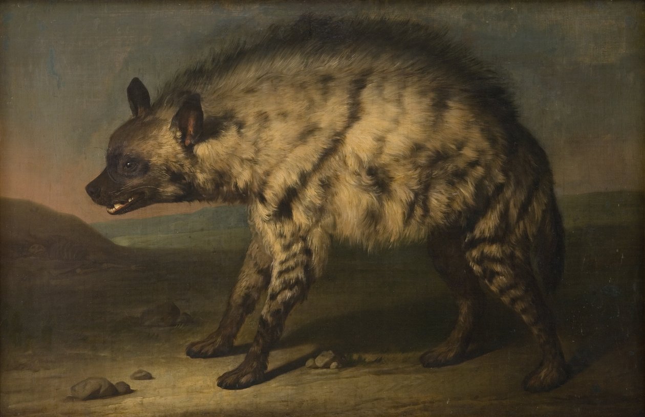 A hiena no zoológico no Castelo de Frederiksberg de Jens Juel