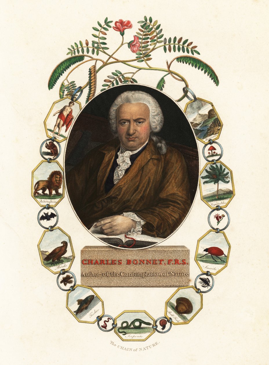 Retrato de Charles Bonnet, naturalista de Genevan.1803 (gravura) de Jens Juel