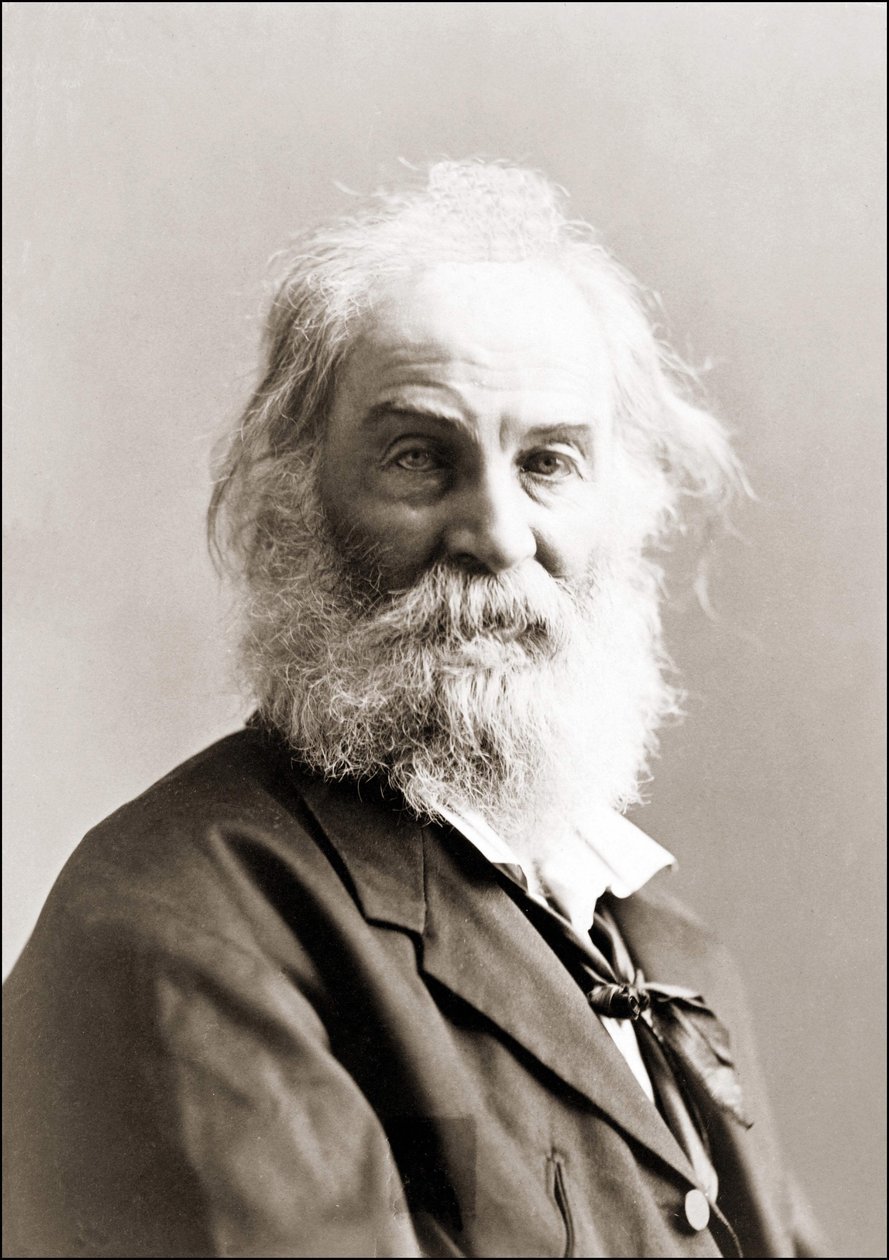 Retrato de Walt Whitman (1819 - 1892) por Gurney entre 1880 e 1890. de Jeremiah Gurney