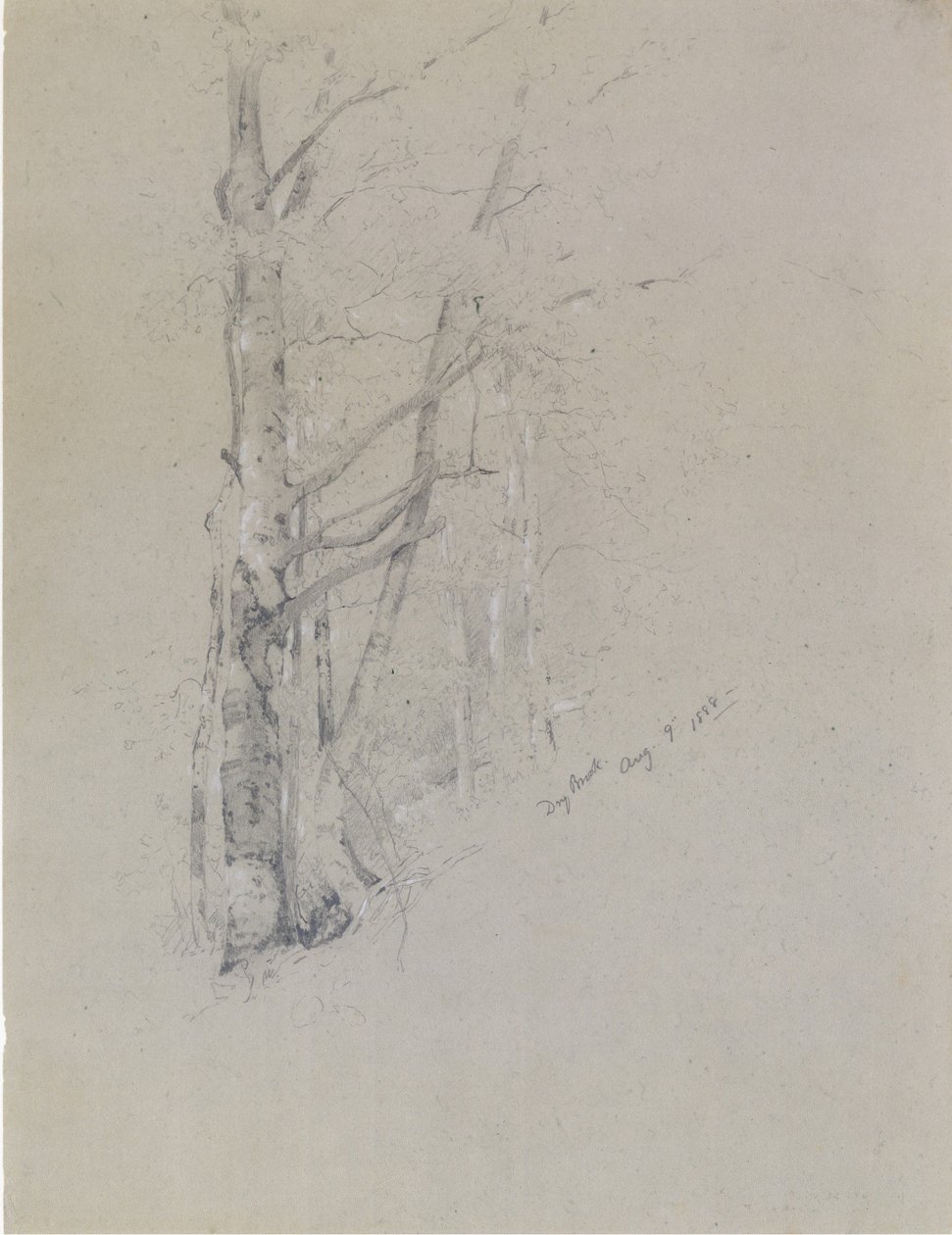 Rio Seco, 1888. de Jervis McEntee