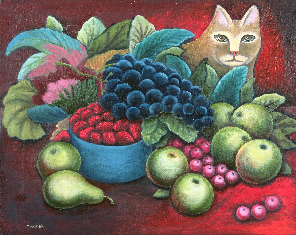 Gato e Fruta de Jerzy Marek