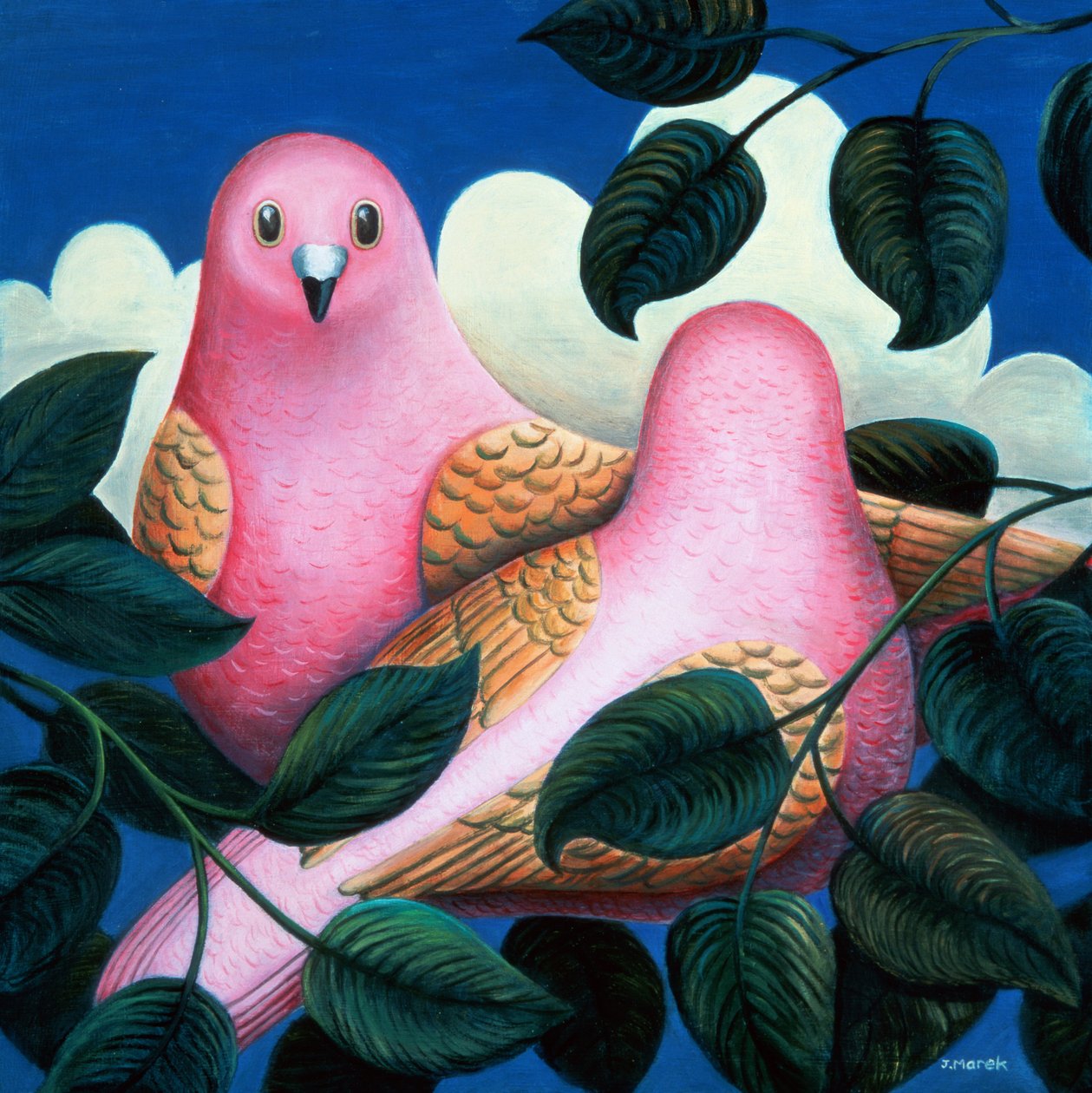 No rosa de Jerzy Marek