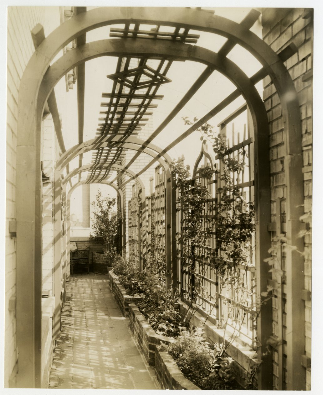 Jardim traseiro da Sra. Regina Jais, c.1936-37 (foto gelatina prateada) de Jessie Tarbox Beals