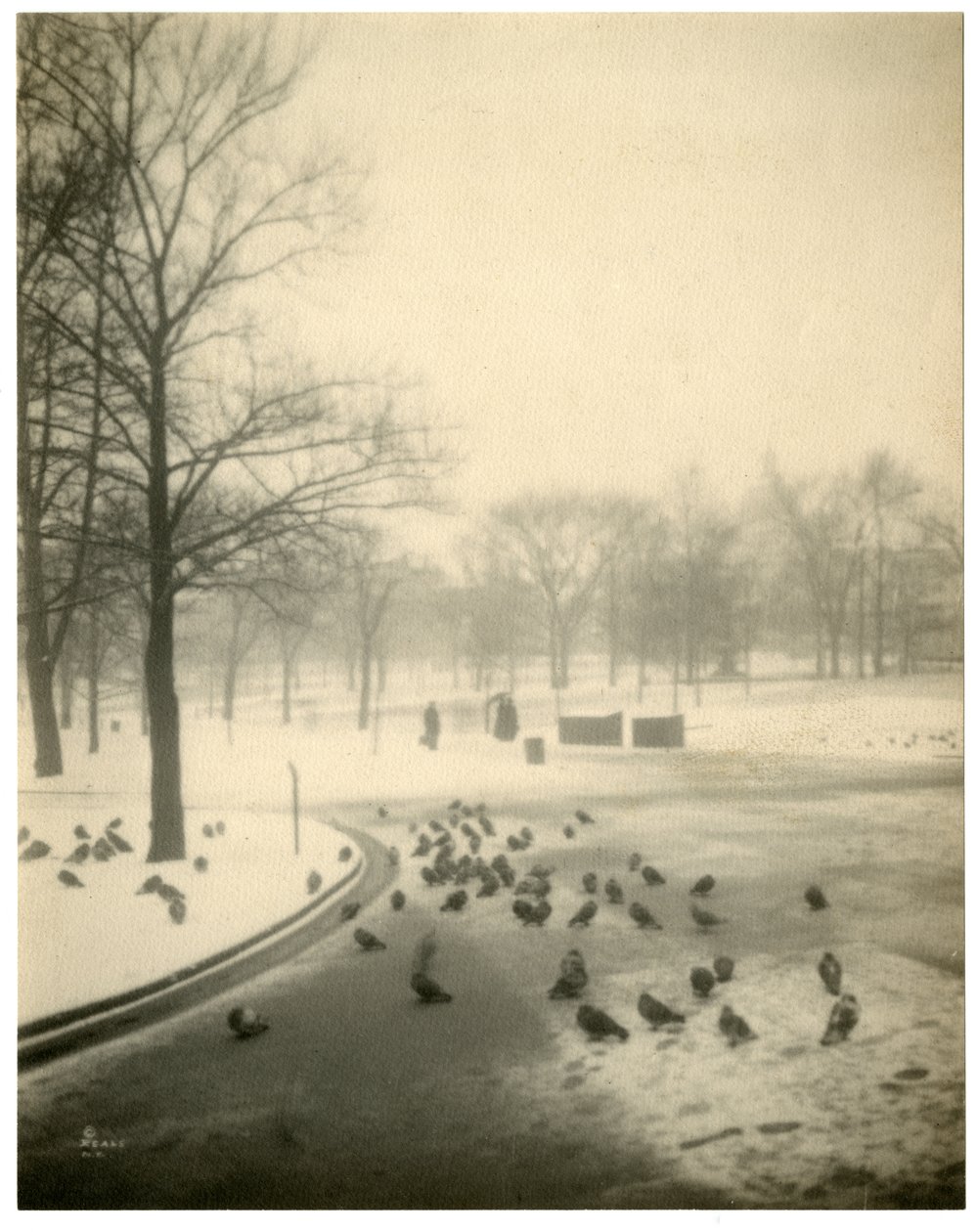 Boston Common, Boston, EUA, c.1902-10 de Jessie Tarbox Beals