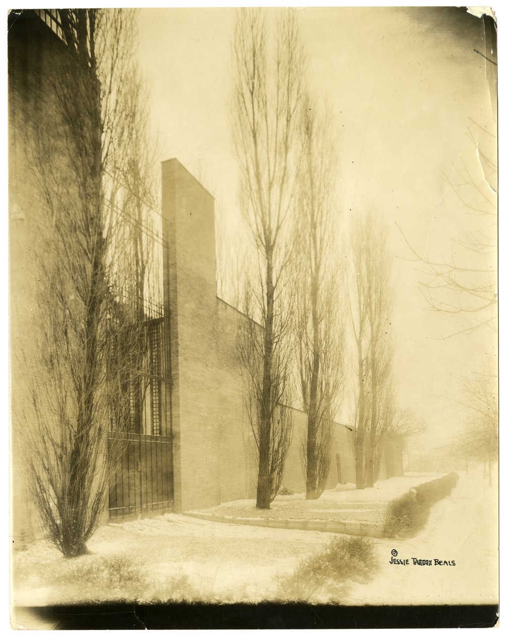 Boston, EUA, c.1902-10 (foto gelatina prateada) de Jessie Tarbox Beals